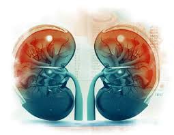 kidney failure